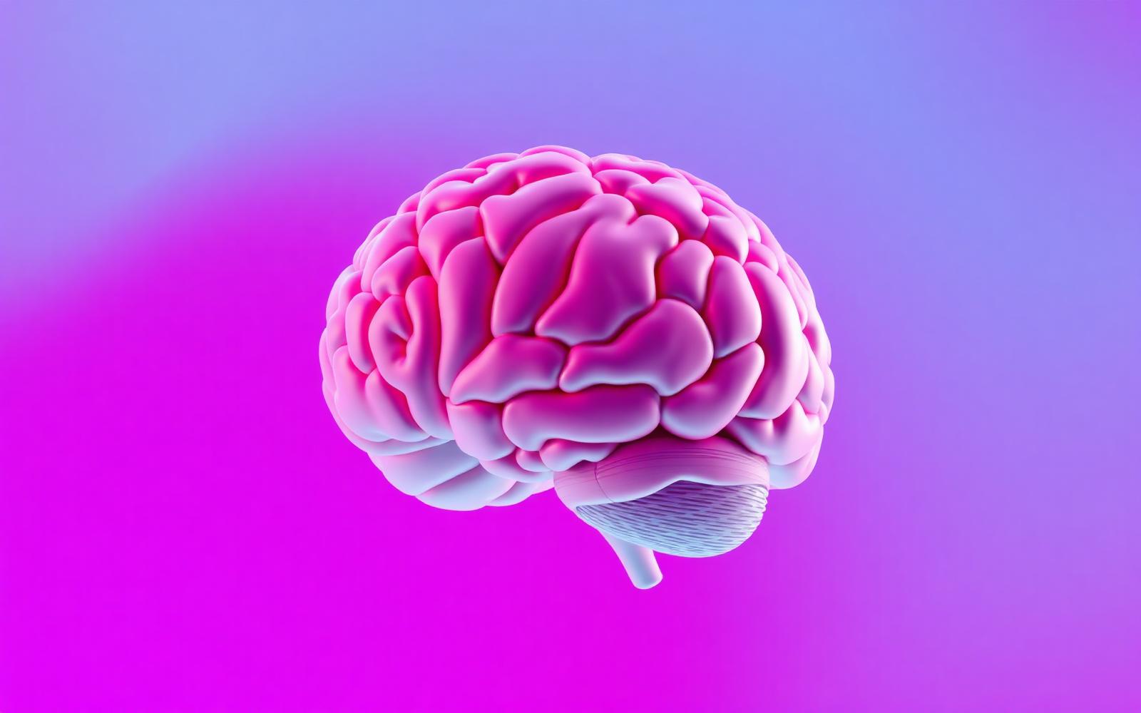 Digital rendering of a human brain on a purple and pink gradient background